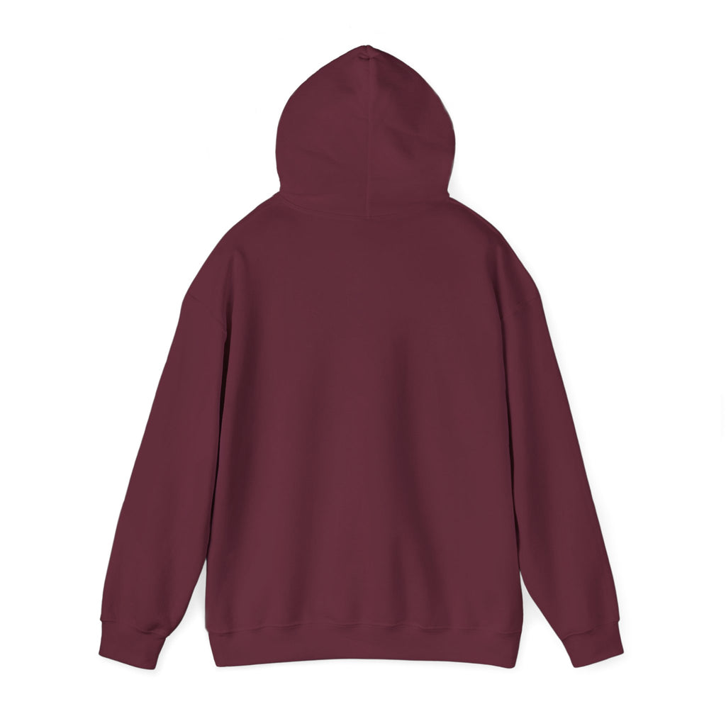 A HUNDRED THOUSAND GALLONS OF SWEAT Hoodie